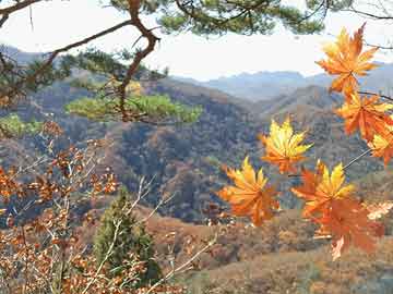 管家婆一票一碼100正確濟(jì)南,重要性解釋落實方法_游戲版46.470