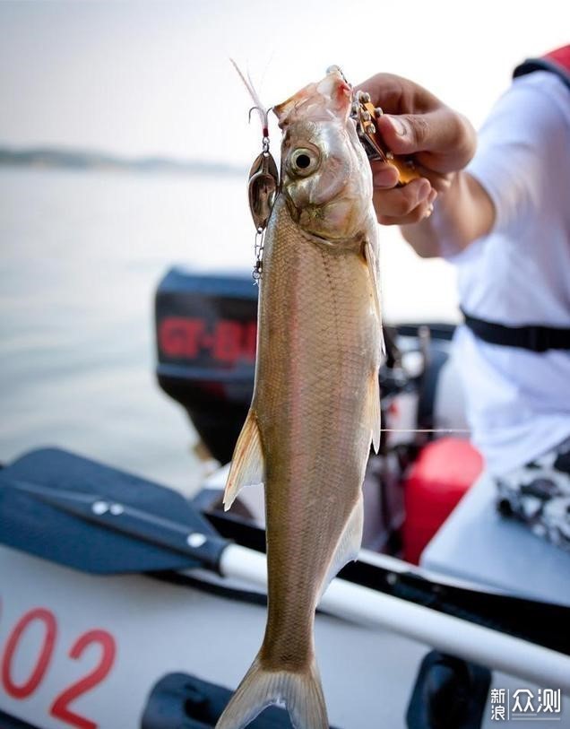 路亞魚釣價(jià)格