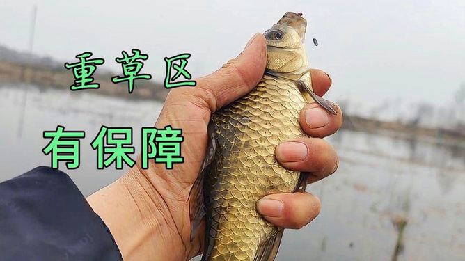 中高檔鯽魚竿，品質(zhì)卓越，技術(shù)精湛