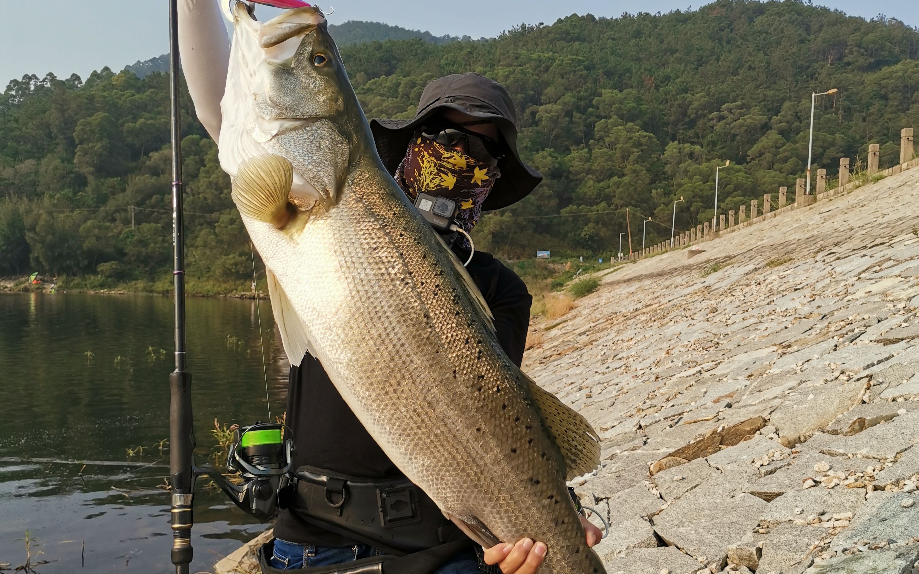 路亞水庫(kù)釣鱸魚(yú)視頻